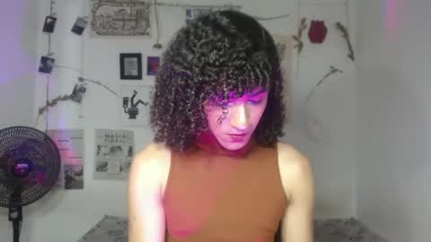  . online show from 02.24.26