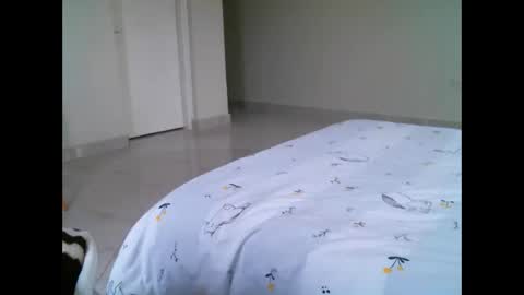 Elphaba online show from 02.21.26