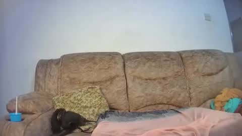 elsie02 online show from 11.18.25