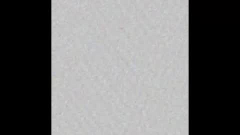 Ely online show from 02.26.25