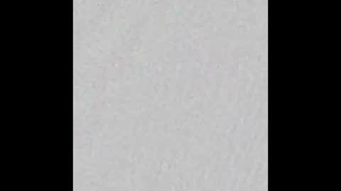 Ely online show from 10.02.25