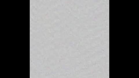 Ely online show from 11.04.25