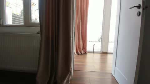 Ely online show from 04.22.26