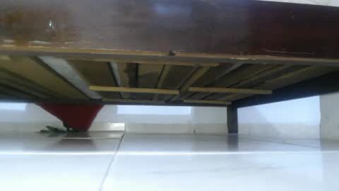 E L Z A  online show from 03.04.25