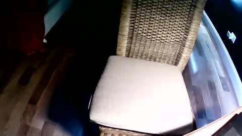 emi4850 online show from 12.08.24