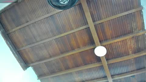 Emily  online show from 09.26.25