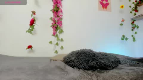 Emily  online show from 02.06.25