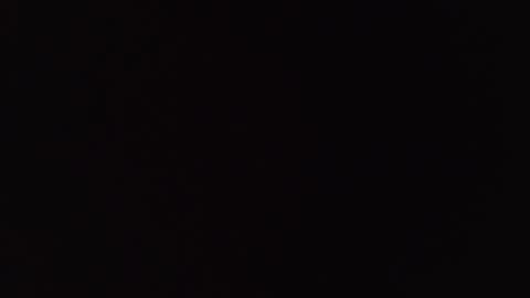       online show from 11.13.25