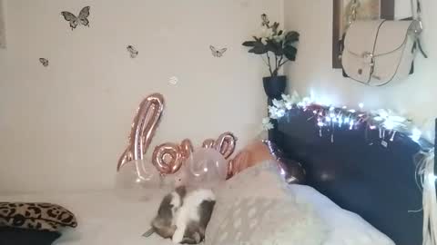 Valentina independent model online show from 11.25.25