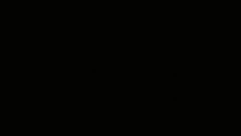 Emilly Willis online show from 01.12.25