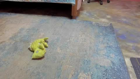 Snapshot of emma_lean chatting on 02.21.25 whises lits online show from 02.21.25