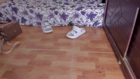 Snapshot of emma_lean chatting on 10.23.25 whises lits online show from 10.23.25