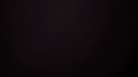     online show from 02.13.25