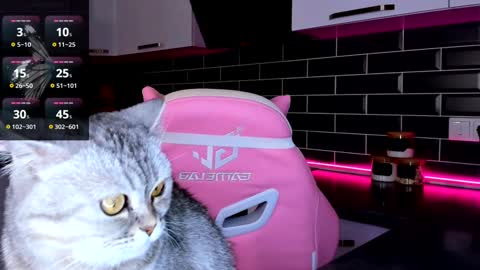 Snapshot of emmavictori chatting on 01.17.25 Shaiya online show from 01.17.25