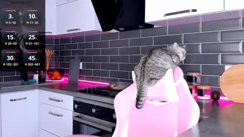 Snapshot of emmavictori chatting on 02.28.25 Shaiya online show from 02.28.25