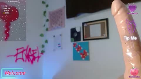 Snapshot of engel20042001 chatting on 12.01.25 engel20042001 online show from 12.01.25