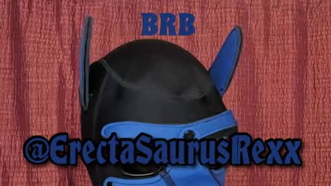 Snapshot of erectasaurusrexx chatting on 08.03.26 ErectaSaurusRexx online show from 08.03.26