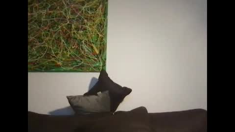 Snapshot of erik_69_69 chatting on 10.18.25 erik_69_69 online show from 10.18.25