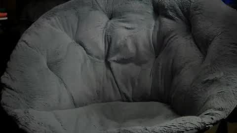 Erik plays hockey online show from 11.11.25