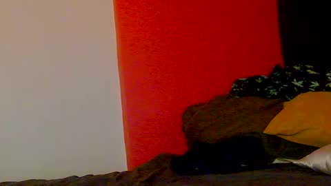 Nikki Erotica online show from 02.20.26