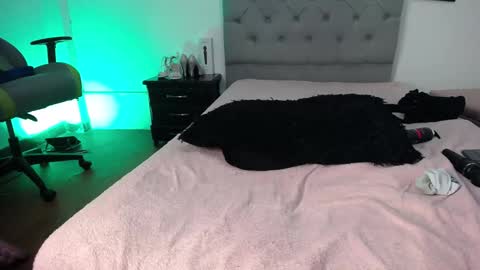 Snapshot of esmeraldaa_sc chatting on 11.12.25 Perla online show from 11.12.25