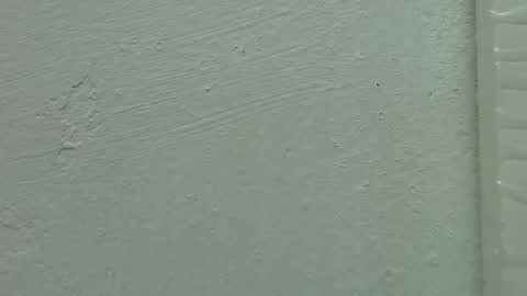 Estrella online show from 02.15.25