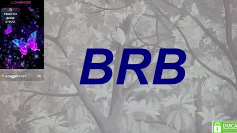 Snapshot of eva__summers chatting on 01.18.25 Eva online show from 01.18.25