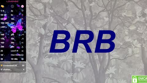 Snapshot of eva__summers chatting on 01.24.25 Eva online show from 01.24.25