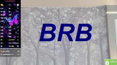 Snapshot of eva__summers chatting on 01.26.25 Eva online show from 01.26.25