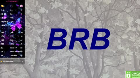 Snapshot of eva__summers chatting on 01.28.25 Eva online show from 01.28.25