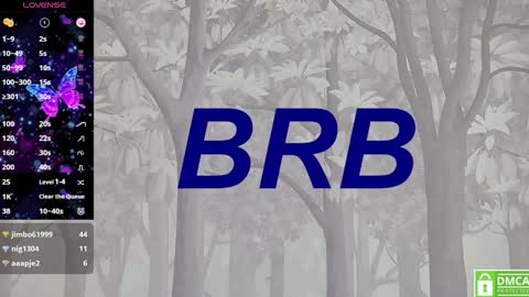 Snapshot of eva__summers chatting on 01.30.25 Eva online show from 01.30.25