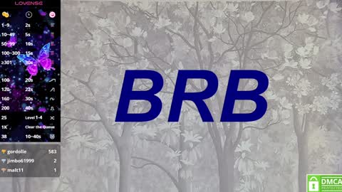 Snapshot of eva__summers chatting on 02.01.25 Eva online show from 02.01.25