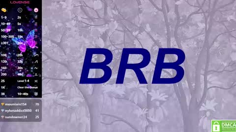 Snapshot of eva__summers chatting on 02.13.25 Eva online show from 02.13.25