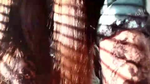 Evaa Depp online show from 01.22.25