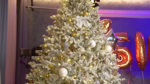 Eva online show from 12.28.24