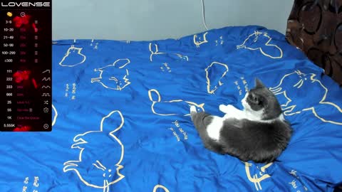 Snapshot of eva_zero chatting on 01.17.25 Eva online show from 01.17.25