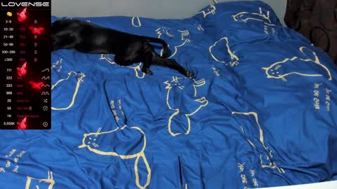 Snapshot of eva_zero chatting on 01.19.25 Eva online show from 01.19.25