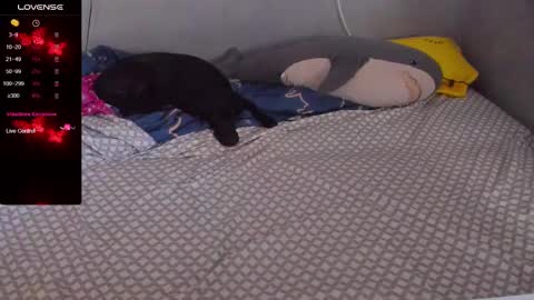 Snapshot of eva_zero chatting on 02.20.25 Eva online show from 02.20.25