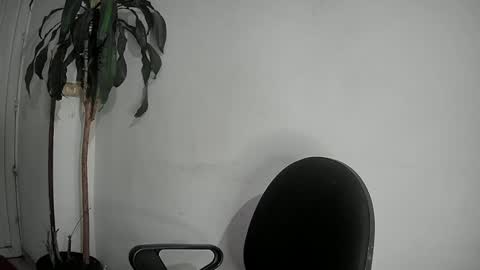 evacollins12 online show from 12.02.24