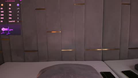 Snapshot of evalims chatting on 01.29.25 EVA online show from 01.29.25