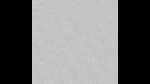 Eva online show from 01.29.25