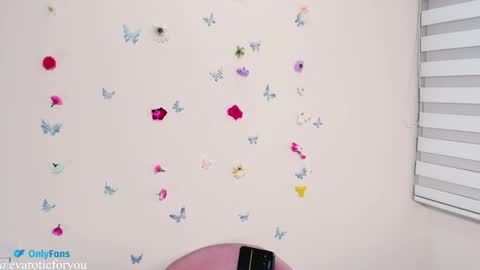 Snapshot of evarotic chatting on 11.04.25 Eva online show from 11.04.25