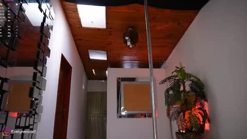 Snapshot of evelyn_evelyn chatting on 02.17.26 evelyn evelyn online show from 02.17.26