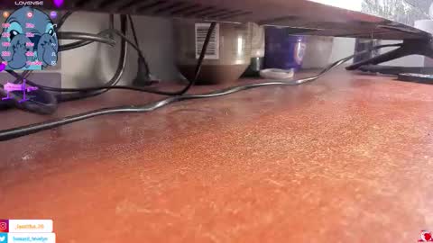 Snapshot of evelynhoward23 chatting on 11.06.25 LAURA SOFIA INDEPENDENT MODEL FOLLOW ME NOW ALMOST 10000 FOLLOWERS online show from 11.06.25