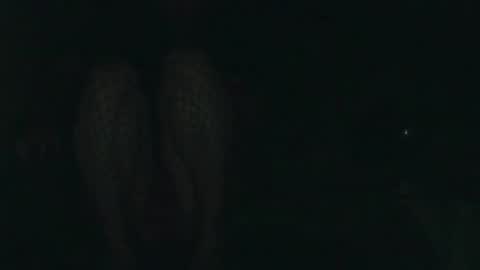 Snapshot of evermore8807 chatting on 12.14.25 evermore8807 online show from 12.14.25