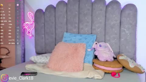 My name is Evie  nice to meet you  really get to know me better private is open  online show from 11.27.25