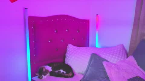 Snapshot of evy_orange1 chatting on 09.30.25 EVY online show from 09.30.25