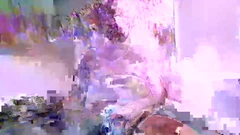 Naaktloper online show from 02.11.26