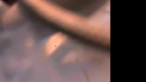 Exhibandvoyeur online show from 10.31.25