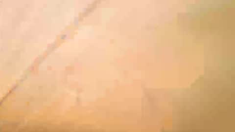 Exhibboytoy3 online show from 05.16.26